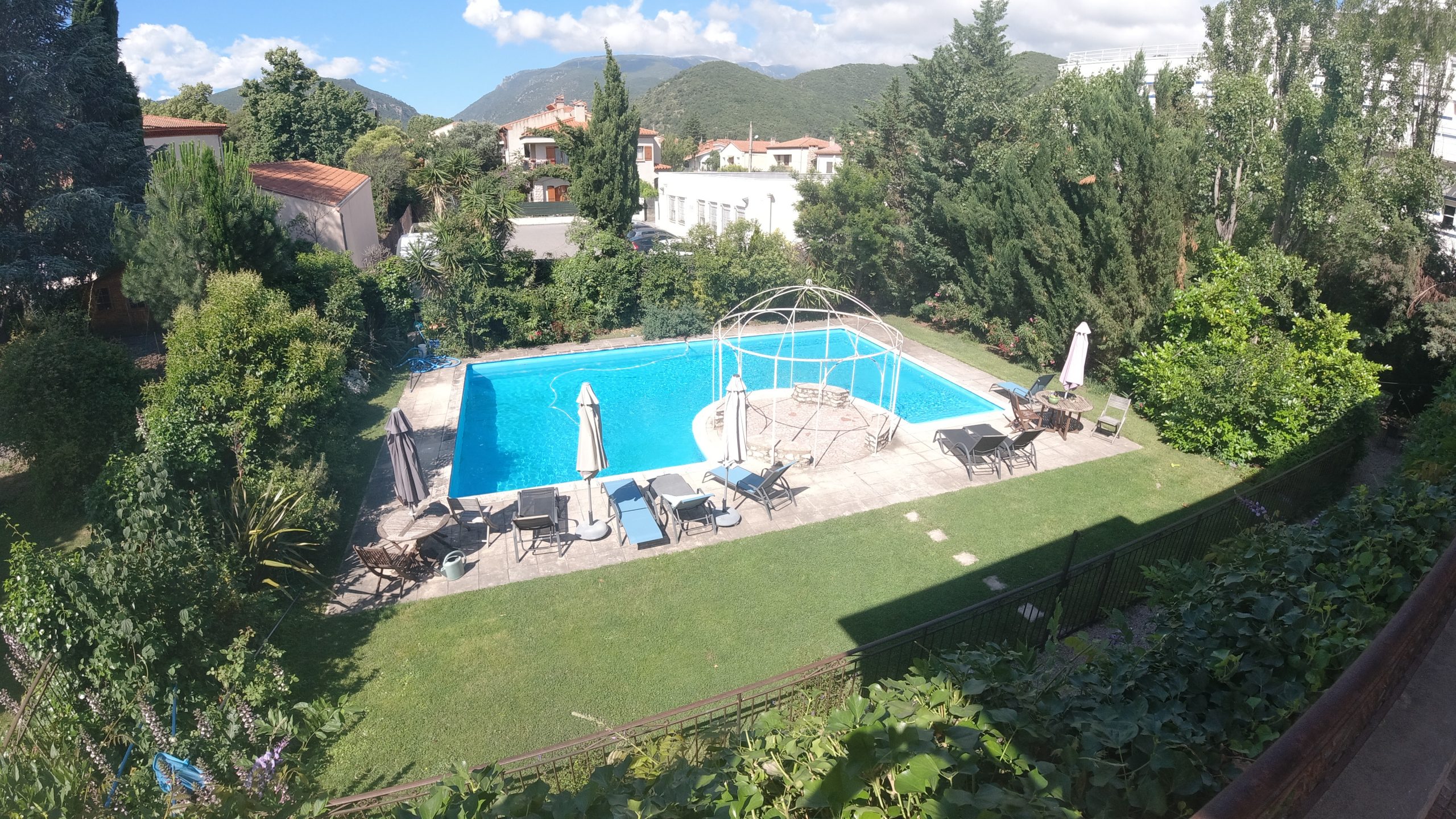 view of pool from palm room